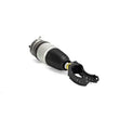 Load image into Gallery viewer, Arnott Industries Air Suspension Strut AS-3056 - Side View