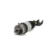 Load image into Gallery viewer, Arnott Industries Air Suspension Strut AS-3056 - Installation View