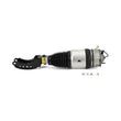 Load image into Gallery viewer, Arnott Industries Air Suspension Strut AS-3057 - Main Product View
