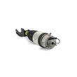 Load image into Gallery viewer, Arnott Industries Air Suspension Strut AS-3057 - Installation View