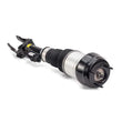 Load image into Gallery viewer, Arnott Industries Air Suspension Strut AS-3060 - Installation View
