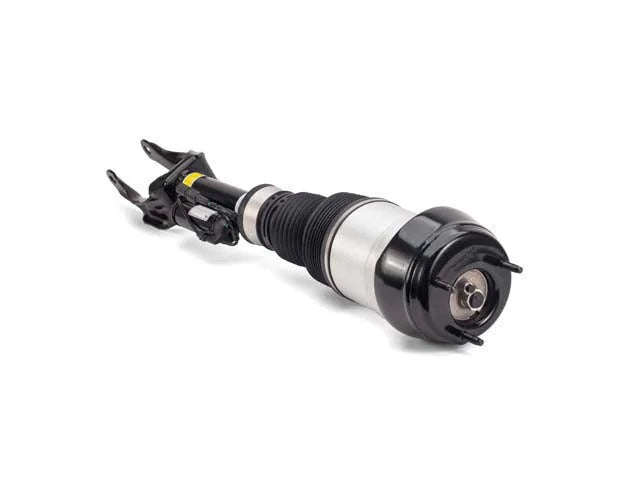 Arnott Industries Air Suspension Strut AS-3060 - Installation View