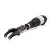 Load image into Gallery viewer, Arnott Industries Air Suspension Strut AS-3060 - Side View