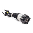 Load image into Gallery viewer, Arnott Industries Air Suspension Strut AS-3060 - Installation View