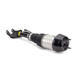 Load image into Gallery viewer, Arnott Industries Air Suspension Strut AS-3061 - Installation View
