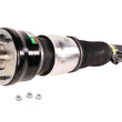 Load image into Gallery viewer, Arnott Industries Air Suspension Strut AS-3345