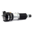 Load image into Gallery viewer, Arnott Industries Air Suspension Strut AS-3351 - Installation View
