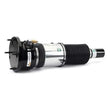 Load image into Gallery viewer, Arnott Industries Air Suspension Strut AS-3351 - Installation View