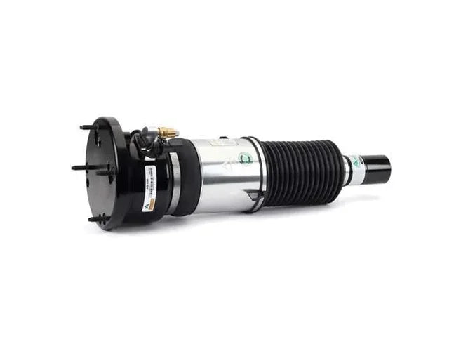 Arnott Industries Air Suspension Strut AS-3351 - Installation View