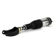 Load image into Gallery viewer, Arnott Industries Air Suspension Strut AS-3411 - Side View