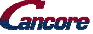 Arnott Industries Conversion Kit C-2718 fits 2001-2005 Audi Allroad Quattro