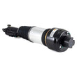Load image into Gallery viewer, Arnott Industries Shock Absorber AS-2245 - Side View