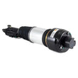 Load image into Gallery viewer, Arnott Industries Shock Absorber AS-2245 - Side View