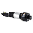 Load image into Gallery viewer, Arnott Industries Shock Absorber AS-2246 - Side View