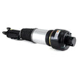 Load image into Gallery viewer, Arnott Industries Shock Absorber AS-2246 - Side View