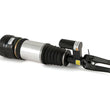 Load image into Gallery viewer, Arnott Industries Shock Absorber AS-2294 - Side View