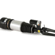 Load image into Gallery viewer, Arnott Industries Shock Absorber AS-2294 - Side View