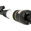 Load image into Gallery viewer, Arnott Industries Shock Absorber AS-2295 - Side View