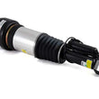 Load image into Gallery viewer, Arnott Industries Shock Absorber AS-2301 - Side View