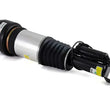 Load image into Gallery viewer, Arnott Industries Shock Absorber AS-2301 - Side View