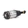 Load image into Gallery viewer, Arnott Industries Shock Absorber AS-2534 - Side View
