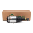 Load image into Gallery viewer, Arnott Industries Shock Absorber AS-2534 - Installation View