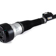 Load image into Gallery viewer, Arnott Industries Shock Absorber AS-2604 - Side View
