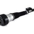 Load image into Gallery viewer, Arnott Industries Shock Absorber AS-2604 - Side View