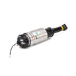 Load image into Gallery viewer, Arnott Industries Shock Absorber AS-2761 - Detail View