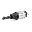 Load image into Gallery viewer, Arnott Industries Shock Absorber AS-2762 - Side View
