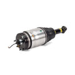 Load image into Gallery viewer, Arnott Industries Shock Absorber AS-2762 - Installation View