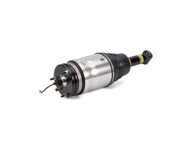 Arnott Industries Shock Absorber AS-2762 - Installation View