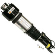 Load image into Gallery viewer, Arnott Industries Shock Absorber AS-2785