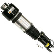 Load image into Gallery viewer, Arnott Industries Shock Absorber AS-2785