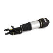 Load image into Gallery viewer, Arnott Industries Shock Absorber AS-2787 - Side View