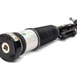 Load image into Gallery viewer, Arnott Industries Shock Absorber AS-2852 - Detail View