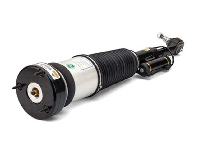 Arnott Industries Shock Absorber AS-2852 - Detail View