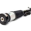 Load image into Gallery viewer, Arnott Industries Shock Absorber AS-2852 - Detail View