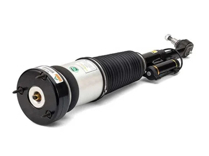 Arnott Industries Shock Absorber AS-2852 - Detail View