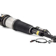 Load image into Gallery viewer, Arnott Industries Shock Absorber AS-2853 - Main Product View