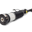 Load image into Gallery viewer, Arnott Industries Shock Absorber AS-2853 - Detail View
