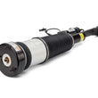 Load image into Gallery viewer, Arnott Industries Shock Absorber AS-2853 - Detail View