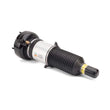 Load image into Gallery viewer, Arnott Industries Shock Absorber AS-2864 - Side View