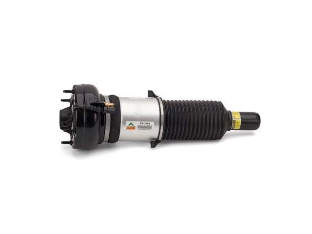 Arnott Industries Shock Absorber AS-2864 - Installation View