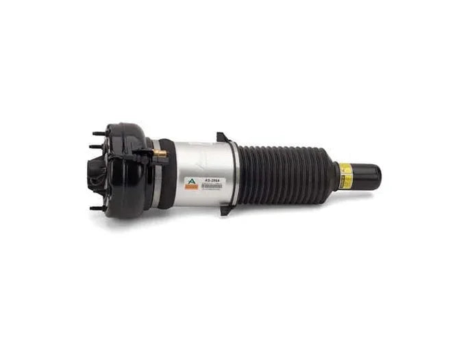 Arnott Industries Shock Absorber AS-2864 - Installation View