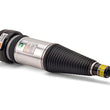 Load image into Gallery viewer, Arnott Industries Shock Absorber AS-2889 - Side View