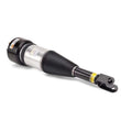 Load image into Gallery viewer, Arnott Industries Shock Absorber AS-2890 - Side View