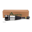 Load image into Gallery viewer, Arnott Industries Shock Absorber AS-2890 - Back View