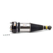Load image into Gallery viewer, Arnott Industries Shock Absorber AS-2891 - Main Product View