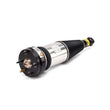 Load image into Gallery viewer, Arnott Industries Shock Absorber AS-2891 - Installation View